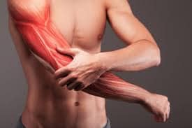 Nmn And Exercise: Does It Improve Performance &Amp; Recovery? 4 Nmn And Exercise: Does It Improve Performance &Amp; Recovery?